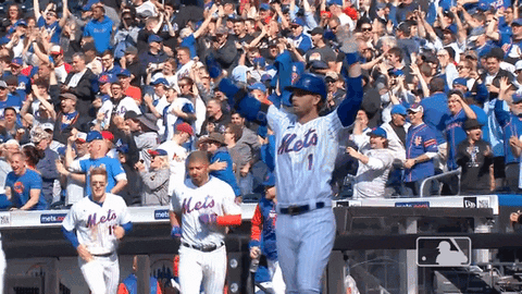 New York Mets Player Playfully Dances GIF