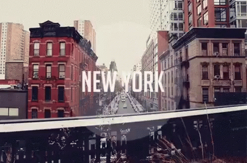 New York Nyc Oh Fact GIF
