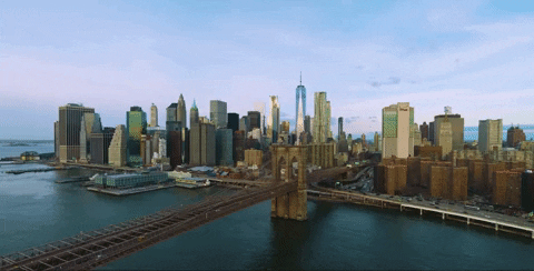 New York Skyscraper View GIF