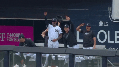 New York Yankees Funny Salute GIF