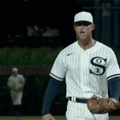 New York Yankees Lfg GIF