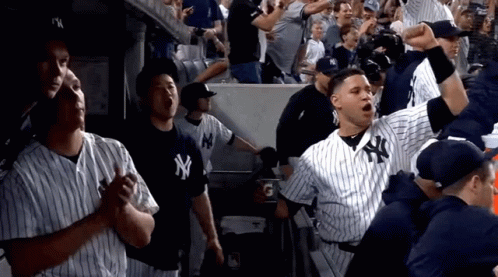 New York Yankees Player in Dugout