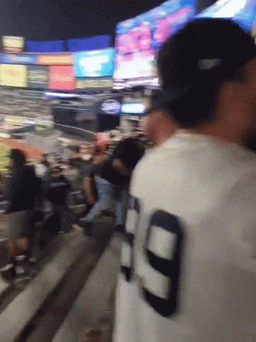 New York Yankees Sweep Dancing Fans GIF