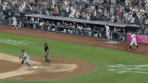 New York Yankees Win GIF