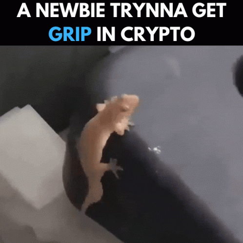 Newbie Dancing Lizard Trying Grip In Crypto GIF