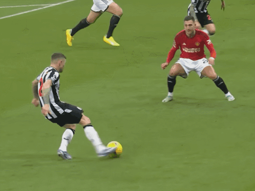 Newcastle United Goal GIF