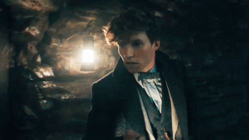 Newt Scamander Amazed GIF