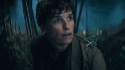 Newt Scamander And Pickett GIF