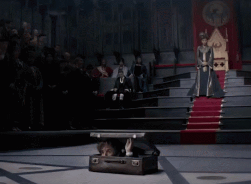 Newt Scamander Coming Out Suitcase GIF