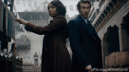 Newt Scamander Duel GIF