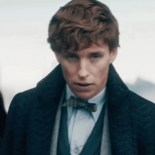 Newt Scamander Getting Arrested GIF