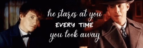 Newt Scamander He Stares At You Every Time GIF
