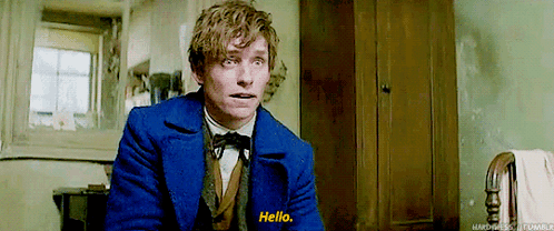 Newt Scamander Hello GIF