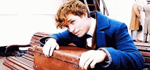 Newt Scamander Holding Suitcase GIF