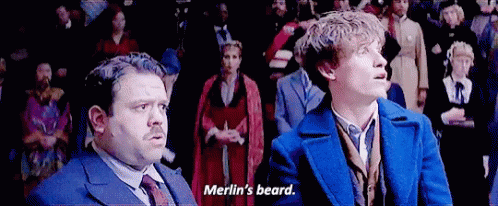 Newt Scamander Merlin's Beard GIF