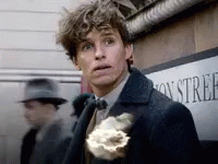 Newt Scamander Name Animation GIF