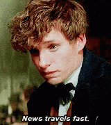 Newt Scamander News Travels Fast GIF