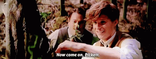 Newt Scamander Now Come On Pickett GIF
