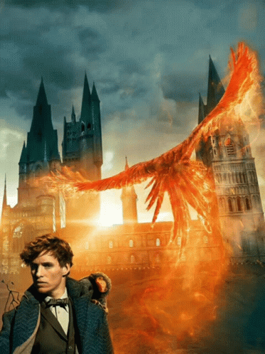 Newt Scamander Phoenix Animation GIF
