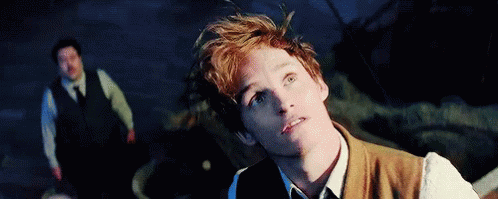 Newt Scamander Staring Upward GIF