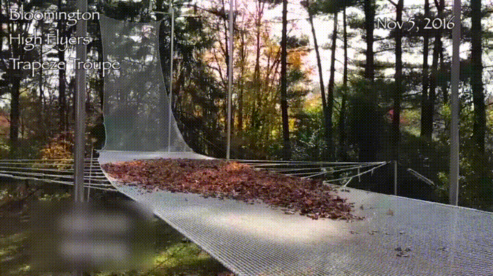 Newtons First Law Flying Trapeze Dive GIF