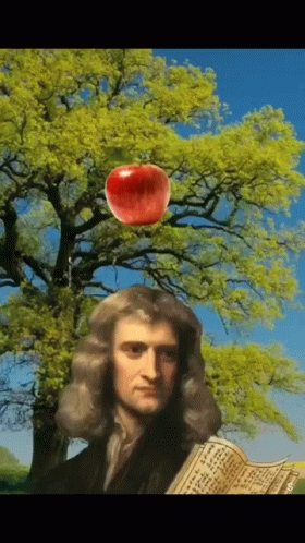 Newtons First Law Of Inertia Apple Falling GIF