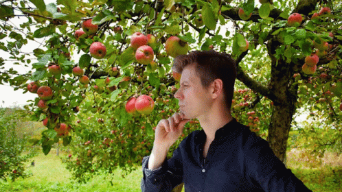 Newtons First Law Thinking Under Apple Tree GIF