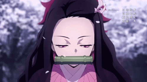 Nezuko Fighting Tanijiro Kamado Anime GIF