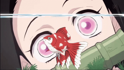 Nezuko Kamado Goldfish Scene GIF