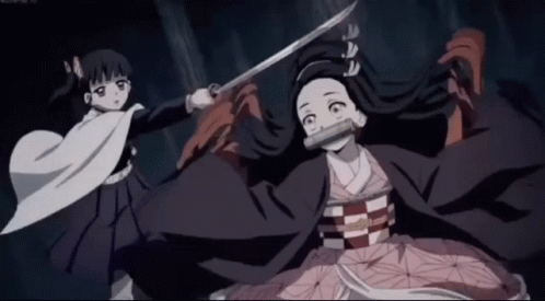 Nezuko Running Away From Kanao Tsuyuri GIF