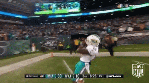 Nfl Dolphins Celebration GIF