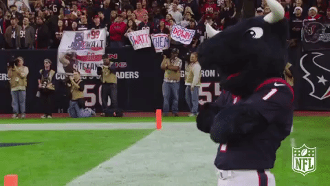 Nfl Houston Texans Mascot Head Nod GIF