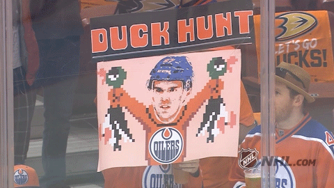 Nhl Duck Hunt Playoff Hockey GIF