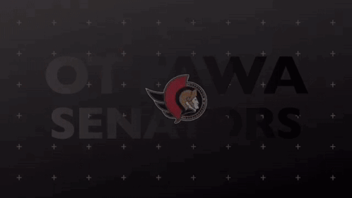 Nhl Ottawa Senators Goal GIF