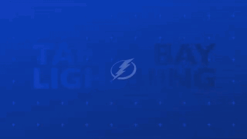 Nhl Tampa Bay Lightning Goal GIF