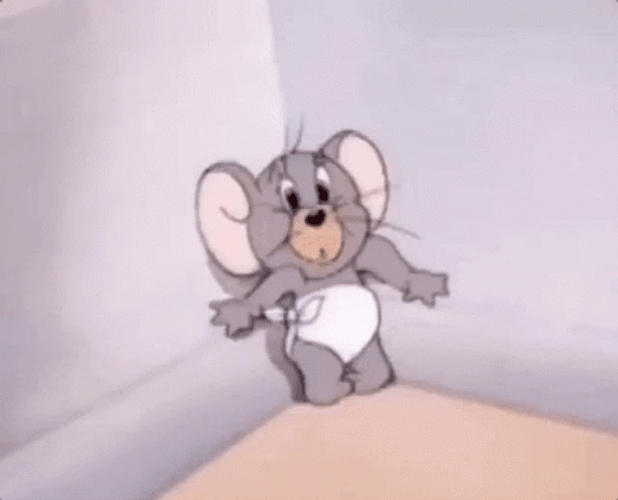 Nibbles In Fetal Position Fear Reaction GIF