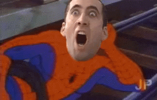 Nic Cage Spider Man Meme GIF