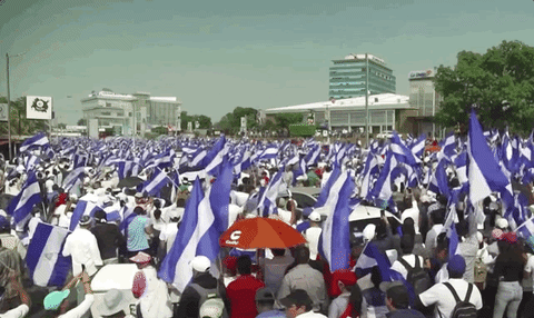 Nicaraguan Crowd Holding Flag GIF
