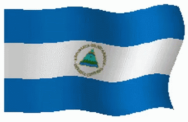 Nicaraguan Flag Pixel Cartoon GIF