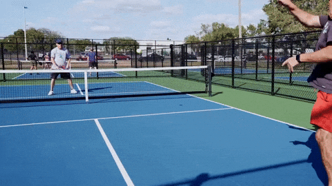 Nice Day Fitness Pickleball Meme GIF