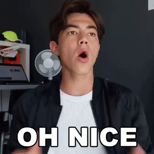 Nice Jan Brummer Thumbs Up GIF