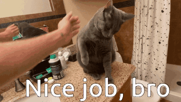 Nice Job Bro Cat Handshake Human GIF