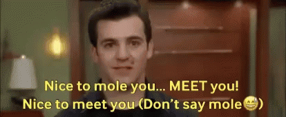 Nice To Meet You Holy Moly Meme GIF