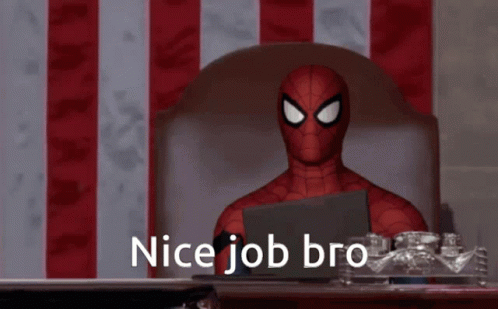 Nice Job Bro Nice Work Spider Man GIF