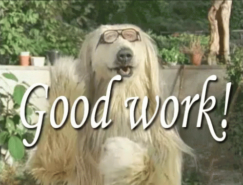Afghan Hound Dog Nice Work GIF