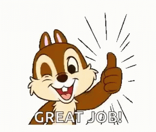 Squirrel Thumbs Up Nice Work GIF