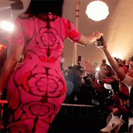 Nicki Minaj Anaconda Fan Meet GIF
