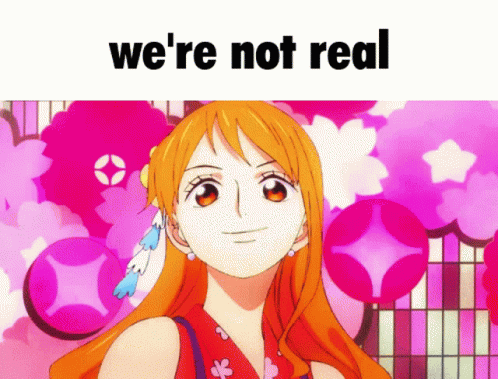 Nico Robin Were Not Real GIF