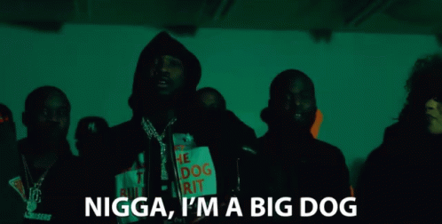 Nigga I'm A Big Dawg GIF