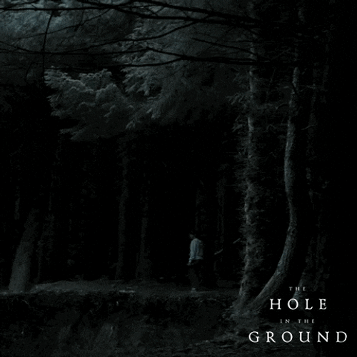 Night At The Forest Holes Movie GIF